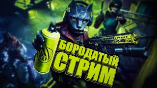 Играю Соло РМ под Ковидом  Читаю 99 чата [upl. by Nomde]