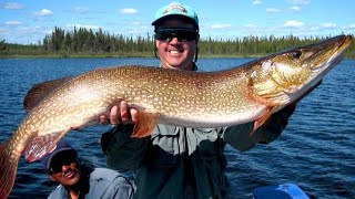 Fishing Northern Manitoba  Ganglers North Seal River Lodge [upl. by Nekial209]