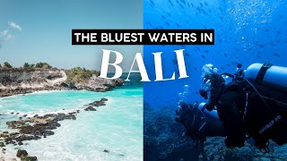 Scuba Diving in Balis Bluest Waters This is NUSA PENIDA🏝️ [upl. by Kalil]