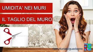 Problemi di umidità nei muri per risolverli parti da questo video EP 1 UMIDITÀ [upl. by Niowtna]