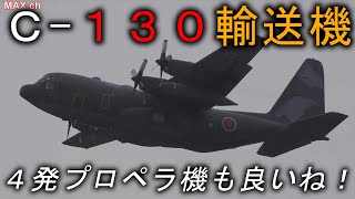 Ⅽ‐１３０輸送機 IN 千歳基地 [upl. by Laenahtan632]