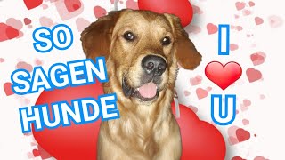 So sagen Hunde quotICH LIEBE DICHquot [upl. by Neral802]