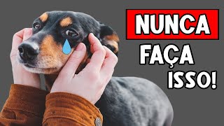 9 Coisas que seu cachorro NUNCA PERDOARÃ ðŸ˜ž [upl. by Cohleen]