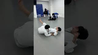 AOJ Cole Abate Pass Drill ㅣ 콜 아바테 패스드릴 MCGY 와이어 권은찬 bjj jiujitsu [upl. by Nosneh]