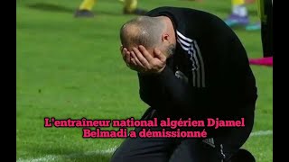 Lentraîneur national algérien Djamel Belmadi a démissionné [upl. by Yedorb]