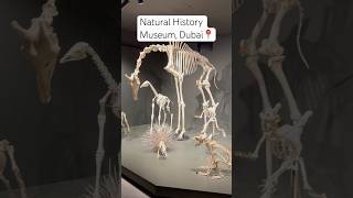 📍 Natural History Museum Dubai Crocodile Park Dubai shorts viralvideo ytshort ytshorts short [upl. by Layton]