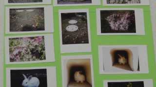 FUJIFILM instax mini 90 NEO CLASSIC 【RABBITS】【BLUE】【farmland collection 2013 autumn】 [upl. by Starobin]