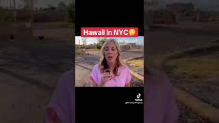 Hawaii in NYC shortvideo [upl. by Hermes970]