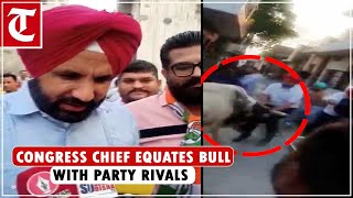 Raja Warring encounters stray bull during poll campaign [upl. by Ling]