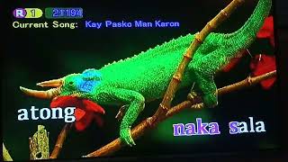 Kay Pasko Man Karon  Visayas Christmas Song KaraokeInstrumental [upl. by Horatia415]