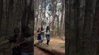 Pine forest Kodaikanal collagetrip [upl. by Ived607]