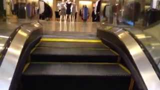 Schindler Escalators At Nordstrom Woodfield Mall In Schaumburg IL [upl. by Anuska]