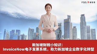 新加坡财税小知识：InvoiceNow电子发票系统，助力新加坡企业数字化转型 [upl. by Echikson394]