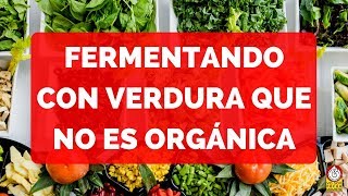 ¿Cómo fermentar con verdura NO ORGÁNICA [upl. by Ahsaten]