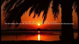 Surah baqarah verses 152157 by tareq mohammed [upl. by Amberly]