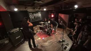 Fecundation  Full Set 20160910  Hostile Eyes Live in KOREA [upl. by Beattie387]