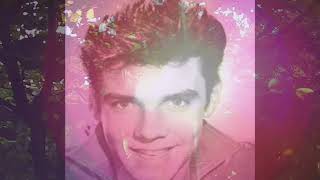 Marty Wilde  Your Seventeenth Spring [upl. by Ahseral]