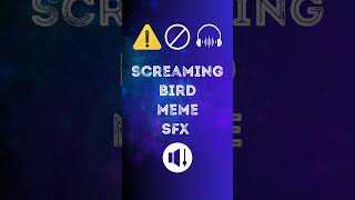 Screaming Bird Meme Sound Effect [upl. by Thorvald]