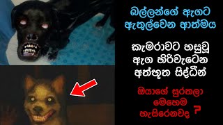 කැමරාවට හසුවූ හොල්මන් Part 18 Paranormal Activity kazzai holman Sinhala film review holman [upl. by Haldis463]