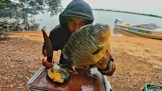 PESCA Y COCINA PIRAÑAS GIGANTES FRITAS Señuelos y carnada pescaria na argentina PESCA URBANA [upl. by Aninay]