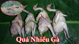 SĂN GÀ RỪNG ĐÊM NGỦ RỪNG  T4  THỢ NÚI [upl. by Galloway]