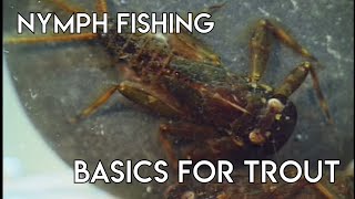 Nymph Fishing Basics for Trout [upl. by Krell]