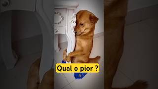 Qual o pior signo para se relacionar  gangue dos caramelos memes [upl. by Wyler]