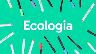 ECOLOGIA CADEIA ALIMENTAR BIOMAS E RELAÇÕES ECOLÓGICAS  QUER QUE DESENHE [upl. by Alaunnoif]