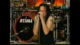 KoRn  Kill You Live at Sydney Big Day Out 1999 [upl. by Serrell123]