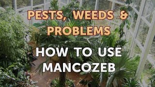 How to Use Mancozeb [upl. by Razaele]