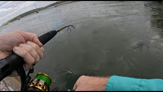 Fishing Below A Dam for multiple species [upl. by Eire]