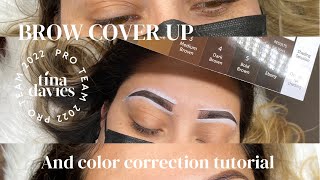 Microblading Cover Up amp Color Correction Tutorial [upl. by Quintana]