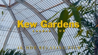 Kew Gardens  London England  4K Relaxing [upl. by Michele277]