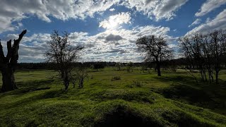 Der Hainberg  Naturschutzgebiet [upl. by Donny]