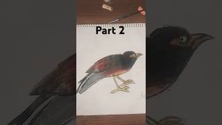 Moyna pakhi drawing part 2 music artvairalshort vairalvideo [upl. by Eimmat]