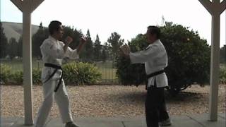 Uechi Ryu  Sanseiryu Bunkai Leg Scoop Movement  Henry Thom [upl. by Ettinger]