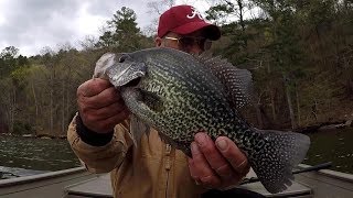 Crappie Fishing Spawn 2019 Catching SLABS With Weedless Jigs [upl. by Gualtiero59]