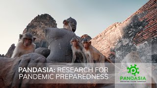 PANDASIA Research for Pandemic Preparedness [upl. by Makell]