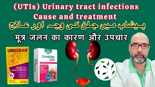 UTIs  urinary infection and burning symptoms Urdu Hindi [upl. by Erline]