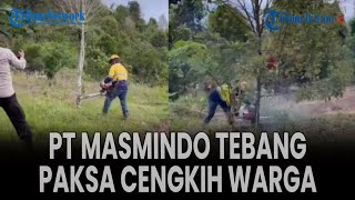 Warga Minta Operasional PT Masmindo Dihentikan Akibat Tebang Paksa Cengkih Warga [upl. by Eahcim176]