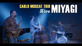 Carlo Muscat  Miyagi Live [upl. by Hahsi]