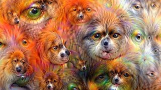 ► Deep Dream Generator illusions doptique angoissantes [upl. by Isaacs473]