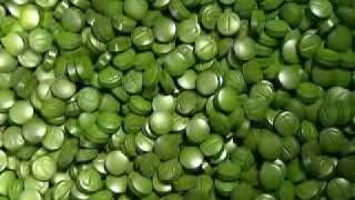 The Wonders of Chlorella [upl. by Danete625]