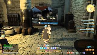 ffxivHow to get a chicken egg for Never Forget quest [upl. by Riek221]