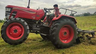 Mahindra yuvo tech plus 585 4wd tractor goes to 5point cultivator last 5year not plough in farmland [upl. by Nylitak]