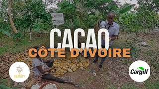 CARGILL  De la Cueillette au Séchage  Le Voyage du Cacao avec un Planteur de Cacao ivoirien🌱🍫 [upl. by Htes912]