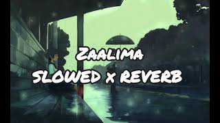 zaalima  raees  shahrukh khan amp mahira khan  Slowed x reverb slowedandreverb zaalima [upl. by Meggi448]