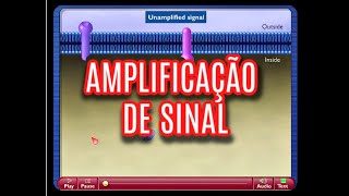 AMPLIFICAÇÃO DE SINAL [upl. by Daht]