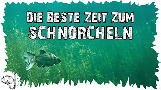 Die beste Zeit zum Schnorcheln  Schnorcheltipps  Schnorcheln für Anfänger [upl. by Son769]