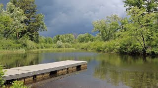 Rainy Camping Adventure in Bonnechere Provincial Park  Part 1 [upl. by Nivla]